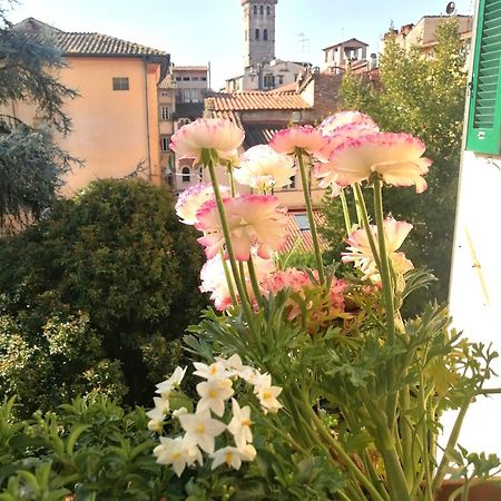 Bed And Breakfast Evelina Lucca Ngoại thất bức ảnh