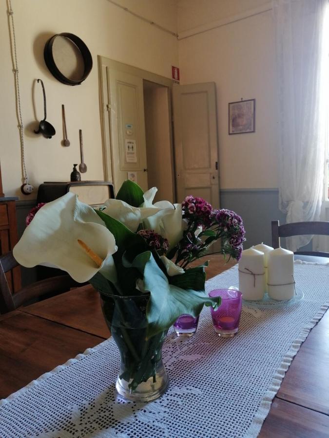 Bed And Breakfast Evelina Lucca Ngoại thất bức ảnh